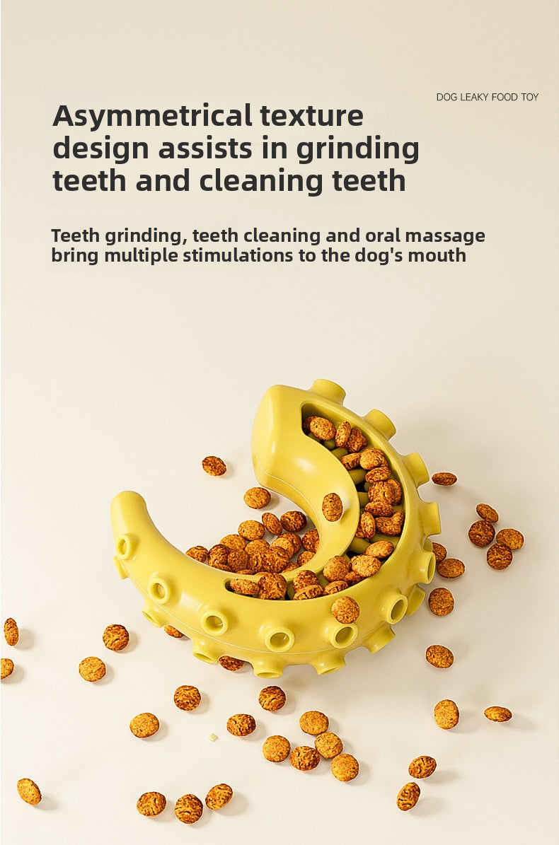 Rubber Spiked Bone Pet Toy New Design for Dog Teeth Grinding Chew Supplies
