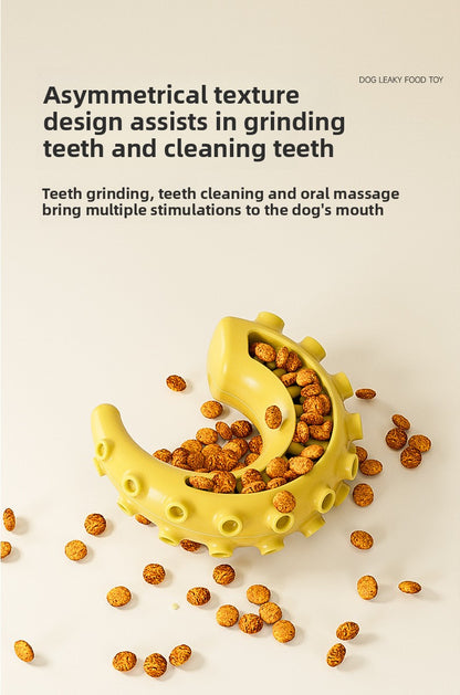 Rubber Spiked Bone Pet Toy New Design for Dog Teeth Grinding Chew Supplies