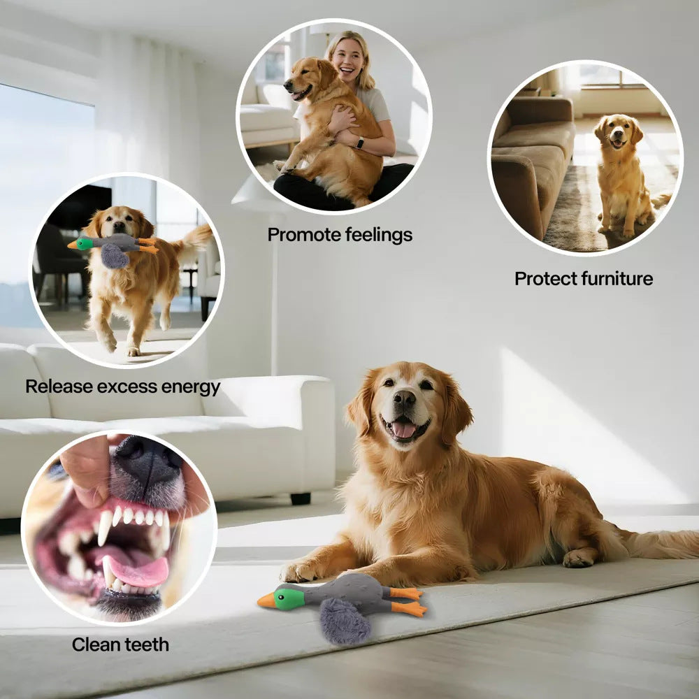 Fun Sound Latex Dog Chew Toy for Stress Relief Wild Duck Seagull Yellow Options