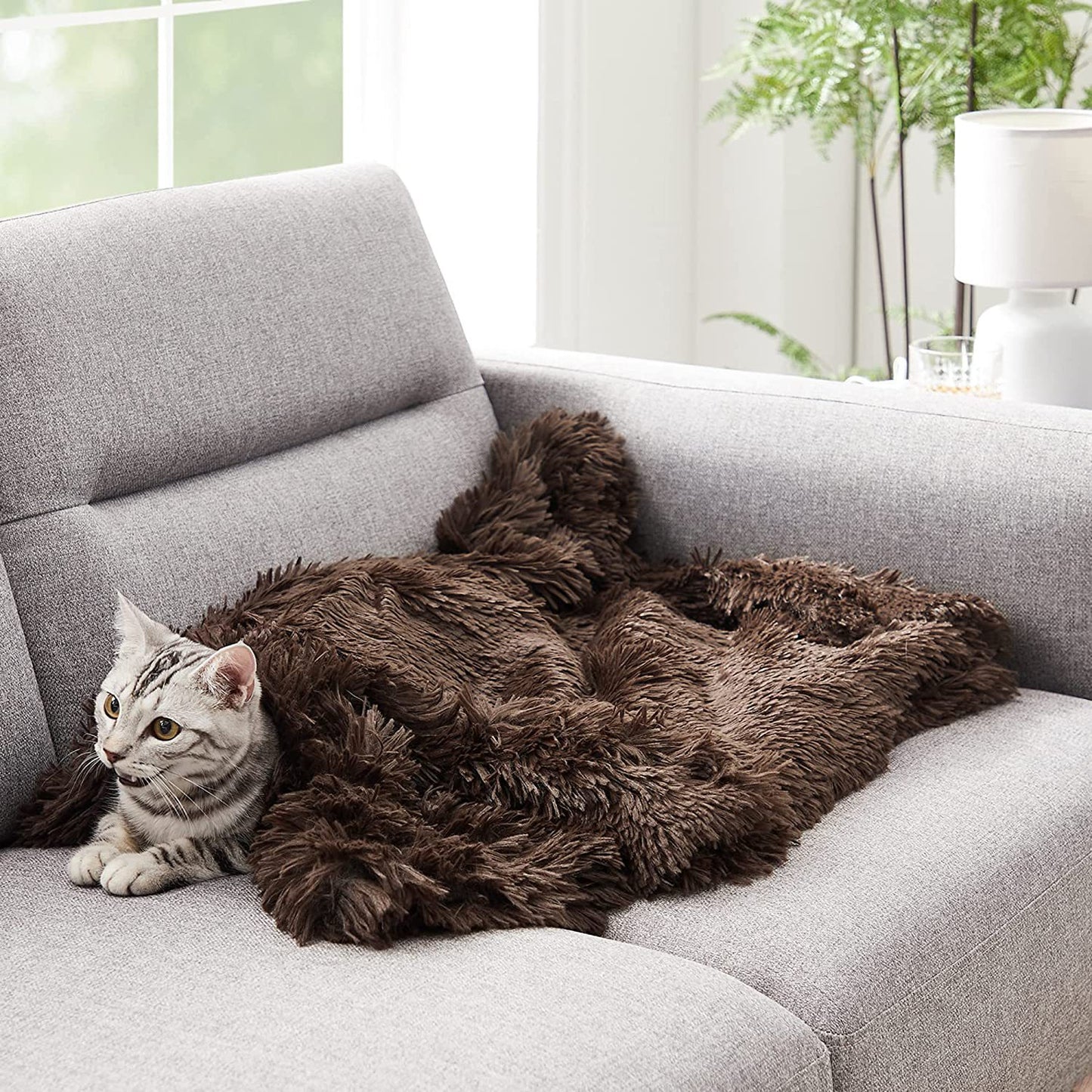 Cat and Dog Dual-sided Fluffy Pet Throw