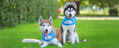 Multiple Sizes Pet Ice Neckband for Summer Anti-Sunstroke Cold Triangle Scarf