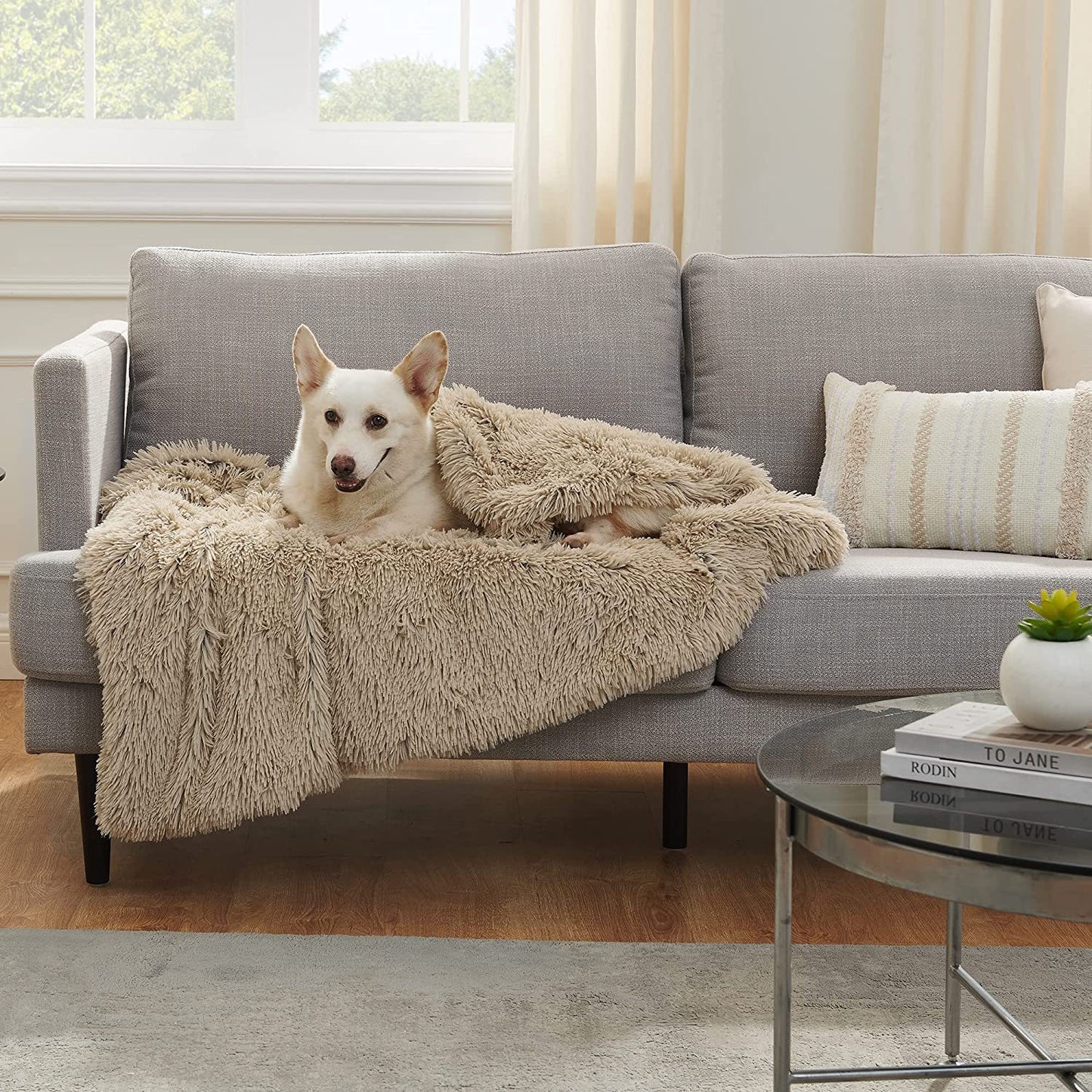 Cat and Dog Dual-sided Fluffy Pet Throw