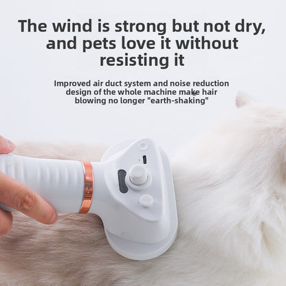 Quick-Dry Fluffy Pet Hair Dryer Spray Combo for Cats Dogs Grooming