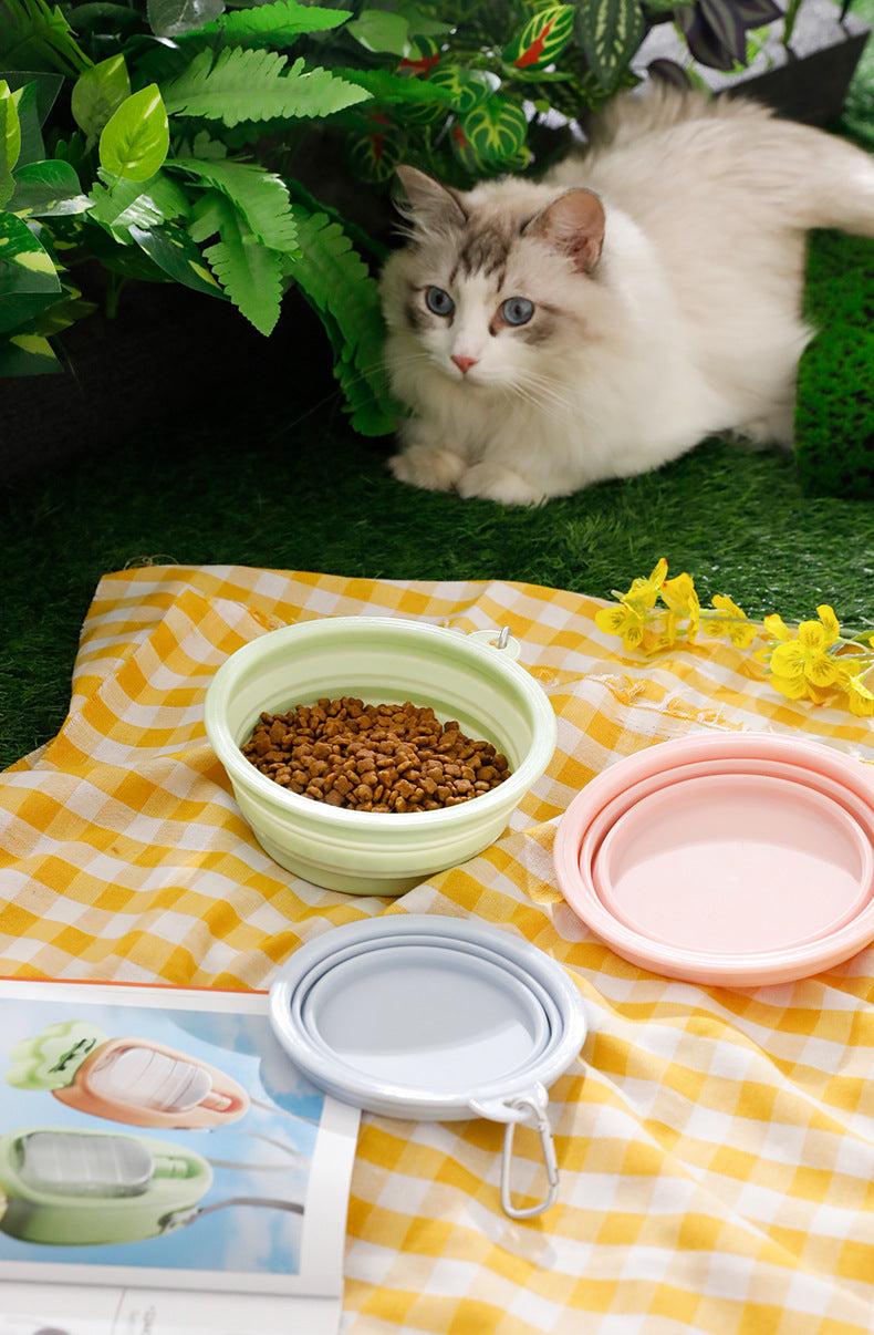 Portable Collapsible TPE Dog Food Drinking Bowl