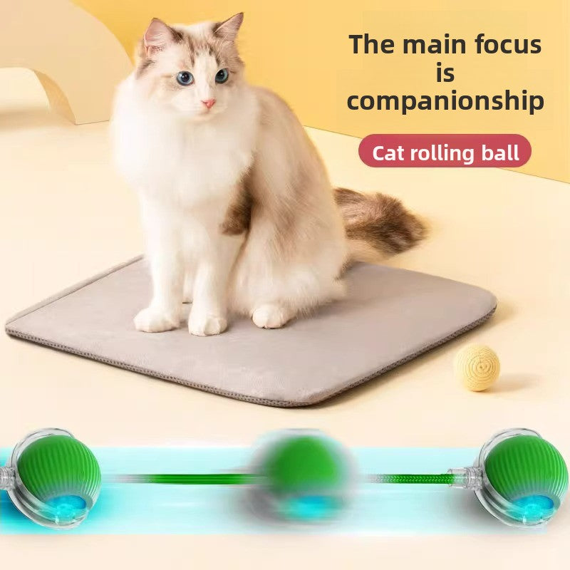 Rechargeable Automatic Cat Toy Ball with Variable Speed Smart Motion for Cats Interactive Self Play Pet Entertainment Teaser Ball