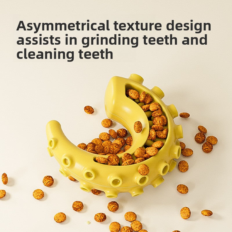 Rubber Spiked Bone Pet Toy New Design for Dog Teeth Grinding Chew Supplies