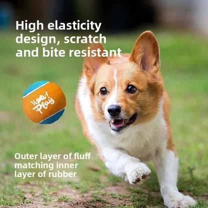 Handheld Launcher Ball Gun Dog Toy Interactive Training Ejection Ball Pet Toy Ball Machine Boredom Relief