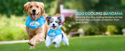 Multiple Sizes Pet Ice Neckband for Summer Anti-Sunstroke Cold Triangle Scarf