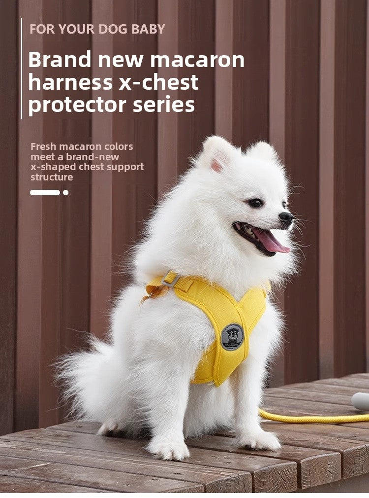 Dog Walking Vest Style Harness Leash for Small Medium Teddy Pomeranian Bichon