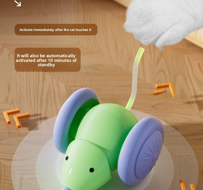 Automatic Rolling Cat Ball Toy Self Entertainment Pet Supplies for Indoor Cats Dogs Teaser Ball with Catnip Boredom Relief Interactive Kitten Toys