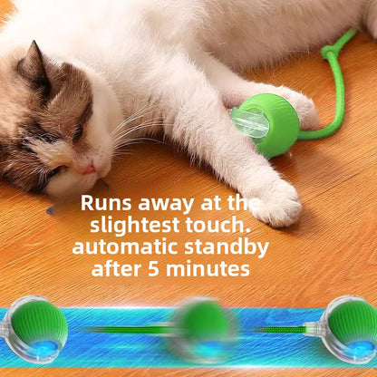 Rechargeable Automatic Cat Toy Ball with Variable Speed Smart Motion for Cats Interactive Self Play Pet Entertainment Teaser Ball