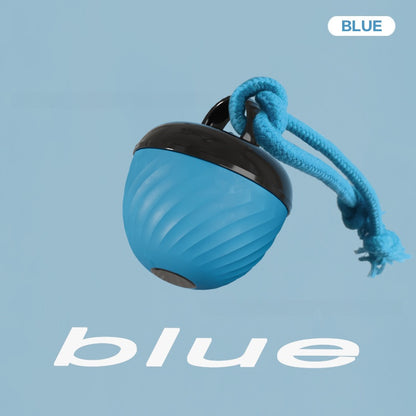 Interactive Self Entertainment Dog Ball Toy with Sound Boredom Relief for Dogs and Cats Fun Pet Supplies for Playtime and Exercise