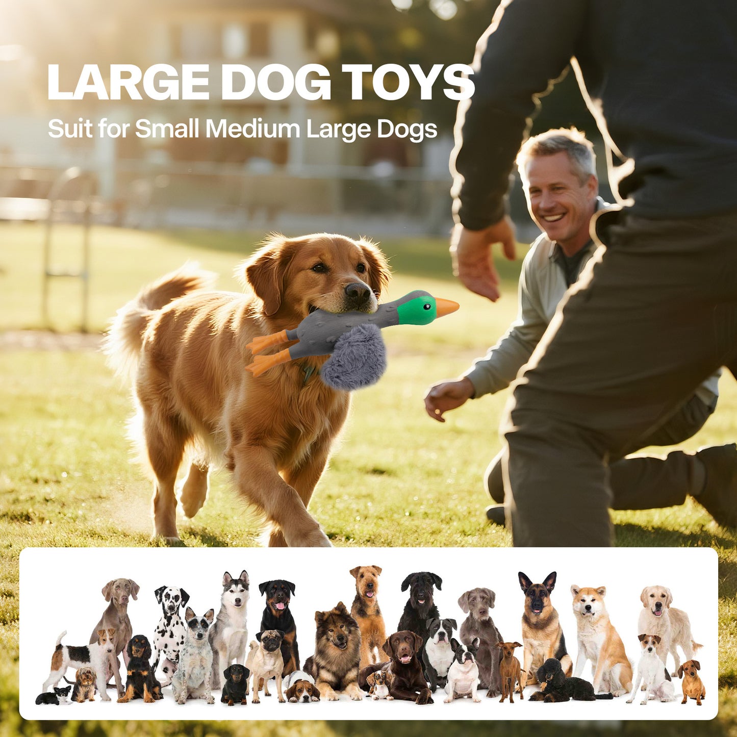 Fun Sound Latex Dog Chew Toy for Stress Relief Wild Duck Seagull Yellow Options