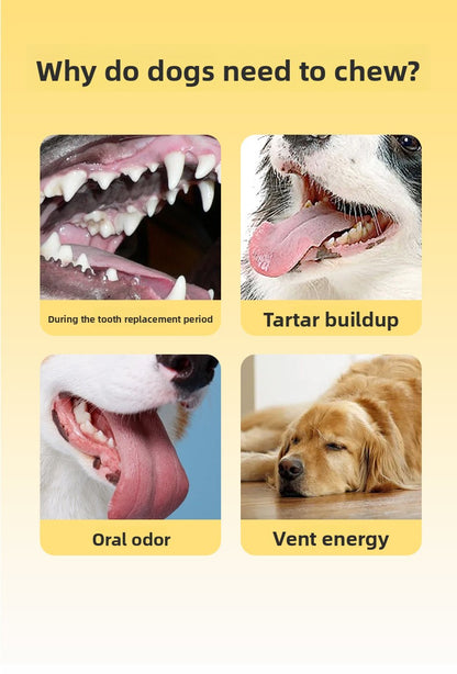 Dog Toy Sound Bone Treat Dispensing Chew Stick Durable Chew Toy Pet Supplies Dog Toothbrush