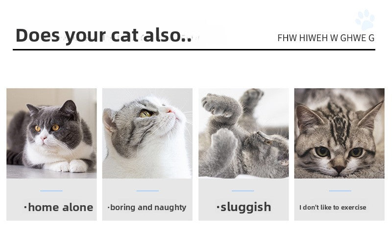 Cat Turntable Puzzle Play Plate Featuring Shadowless Mouse Toy