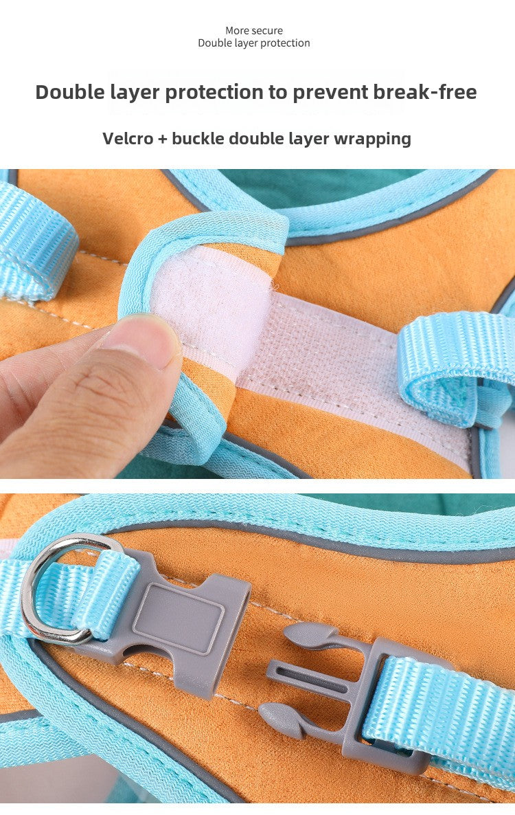 Pet Harness Leash for Safe Outdoor Adventures