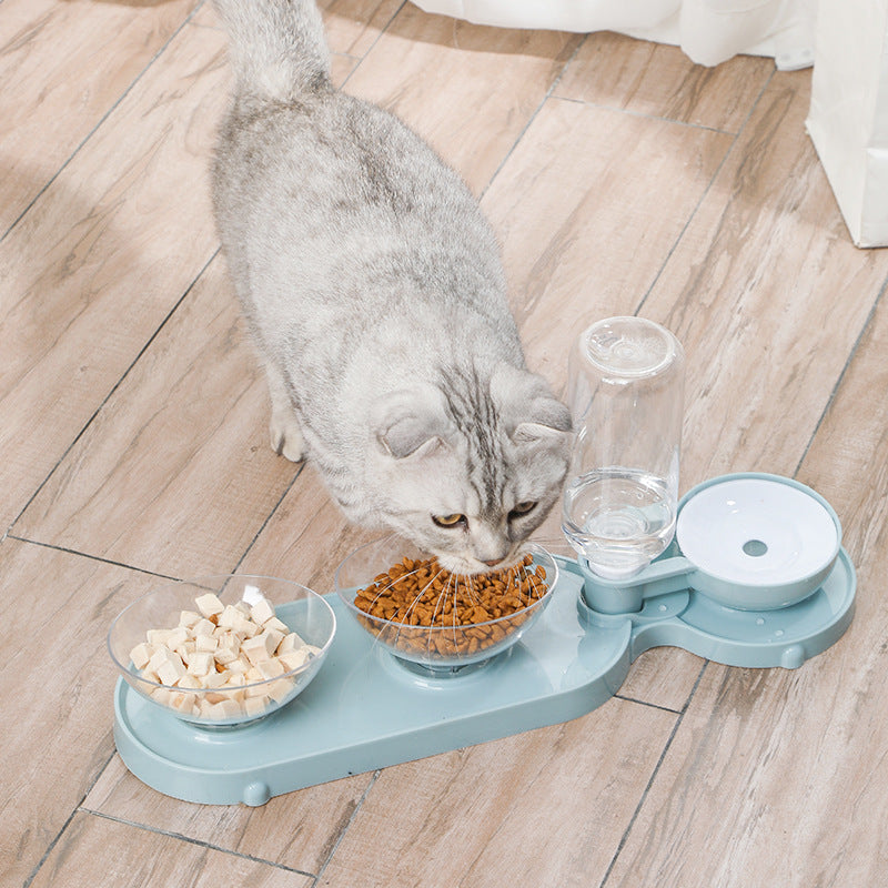 Elevated Cat Food Bowl 3 in 1 Automatic Water Feeder Tilted Design for Neck Relief Slow Feeding Transparent Double Pet Bowl for Cats and Small Dogs