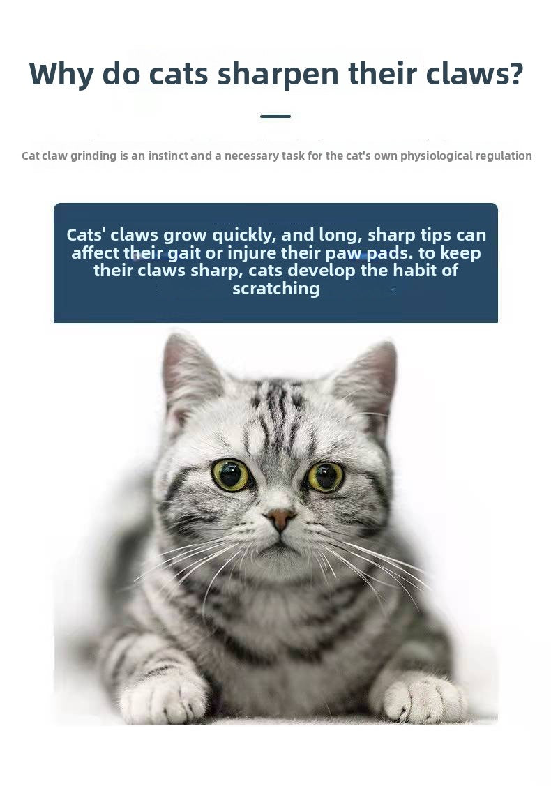 Heavy Duty Sisal Cat Scratching Board Turtle Shape Non Shedding Cat Claw Grinder Toy Durable Scratch Pad for Kittens and Cats Boredom Relief