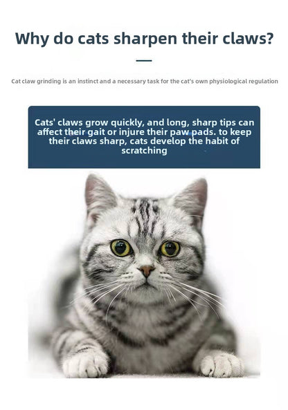 Heavy Duty Sisal Cat Scratching Board Turtle Shape Non Shedding Cat Claw Grinder Toy Durable Scratch Pad for Kittens and Cats Boredom Relief