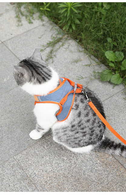 Pet Harness Leash for Safe Outdoor Adventures