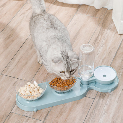 Elevated Cat Food Bowl 3 in 1 Automatic Water Feeder Tilted Design for Neck Relief Slow Feeding Transparent Double Pet Bowl for Cats and Small Dogs
