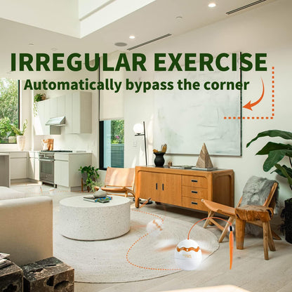 Cat Interactive Irregular Moving Dinosaur Egg Auto 360-Deg Rotating Toy