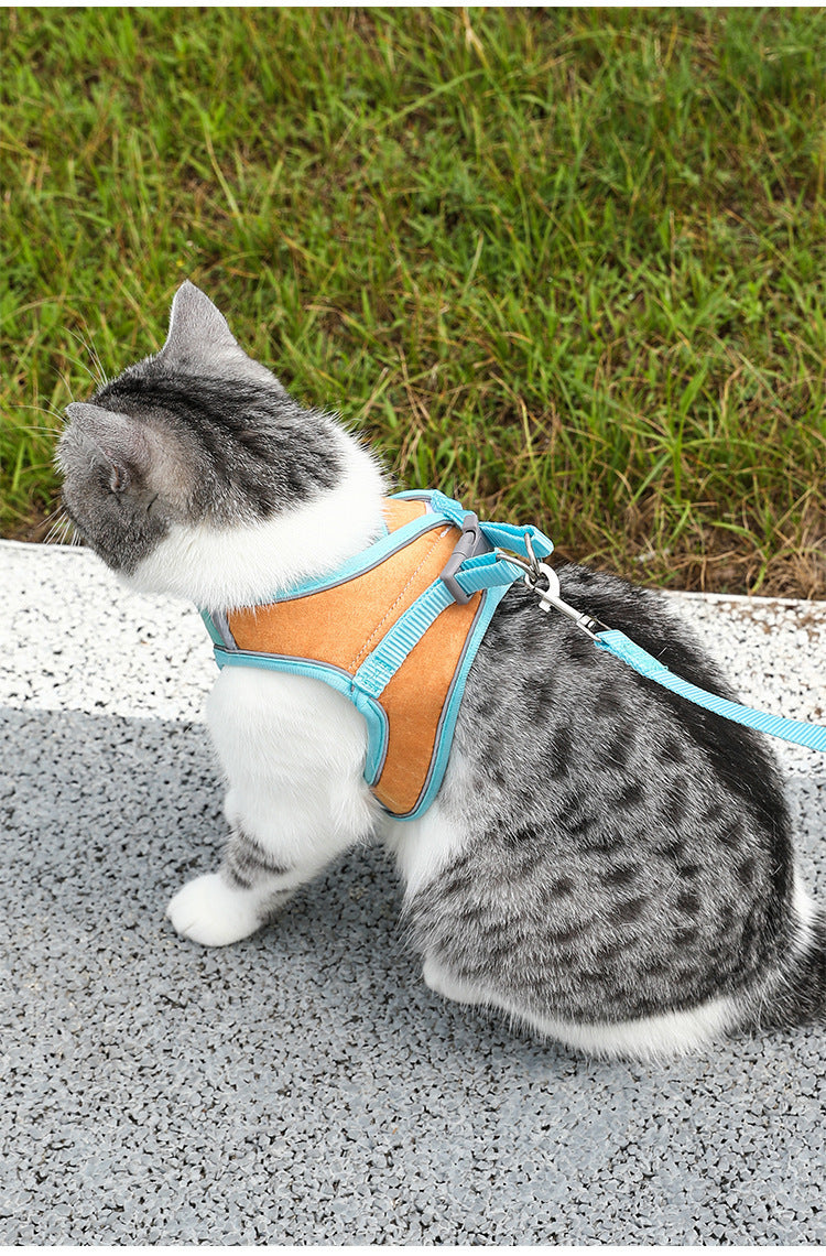 Pet Harness Leash for Safe Outdoor Adventures