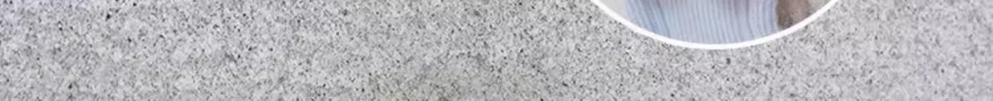 Small Dog Outdoor Walking Leash Vest Style Chest Harness for Teddy Bichon Pomeranian