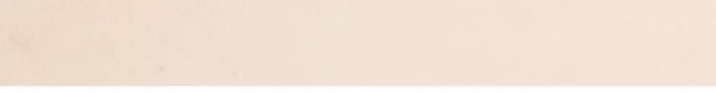 Home Use Pet Cat Dog Summer Cooling Mat Universal Soft Ice Cushion for Neck Safety