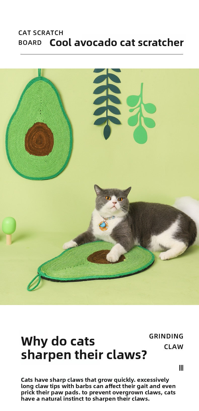 Durable Hanging Cat Scratching Board Pad Multiple Styles Anti Scratch Furniture Protector Interactive Pet Toy for Indoor Cats