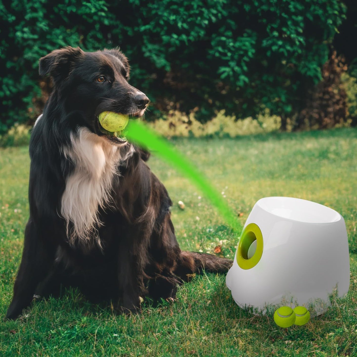 Large Dog Automatic Ball Launcher 6.5cm Tennis Ball Machine Pet Indoor Outdoor Training Tool