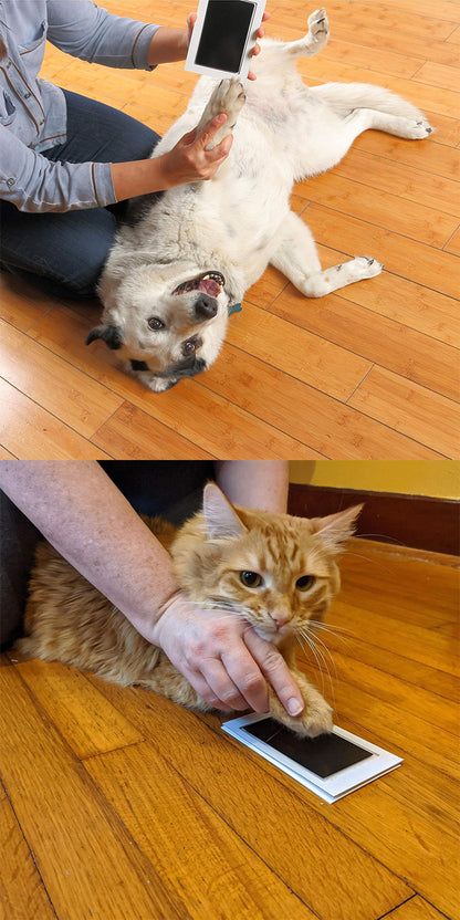 Washable Pet Paw Print Ink Pad Set DIY Memorial Keepsake for Dog Cat Puppy Kitten Create Your Own Pawprint Photo Album