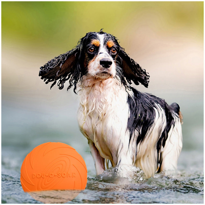 Dogs, cats and dogs, toys can't bite Frisbee, pet products, puppy puzzle training