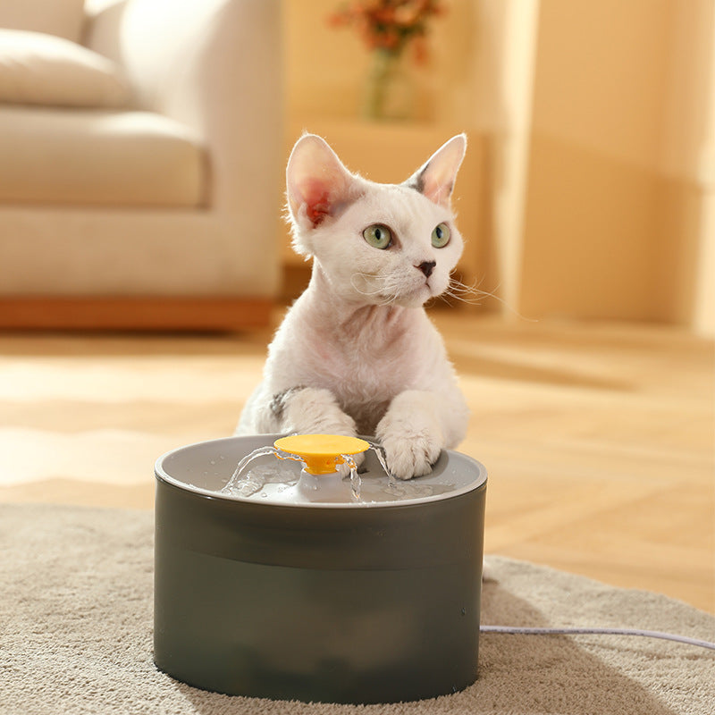 Cat automatic water dispenser Silent circulation Filter Water feeder Dog water dispenser