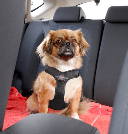 Pet Harness Explosion Proof Vest Style Dog Walking Leash Chain for All Sizes