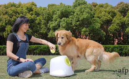 Large Dog Automatic Ball Launcher 6.5cm Tennis Ball Machine Pet Indoor Outdoor Training Tool