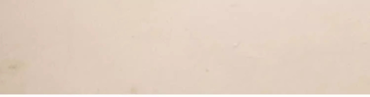 All Season Universal Pet Cooling Mat Bed Cushion for Bichon Dog Cat Summer