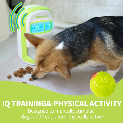 Educational Dog Toy Rolling Tennis Snack Dispenser with 4-Color Recording Feature