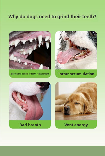 Rubber Spiked Bone Pet Toy New Design for Dog Teeth Grinding Chew Supplies