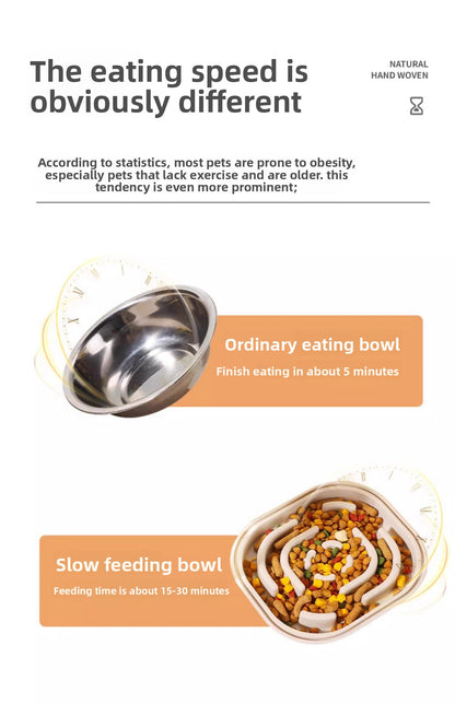 Slanted Mouth Pet Bowl Double Design Automatic Drinking Anti Choke Dog Cat Bowl