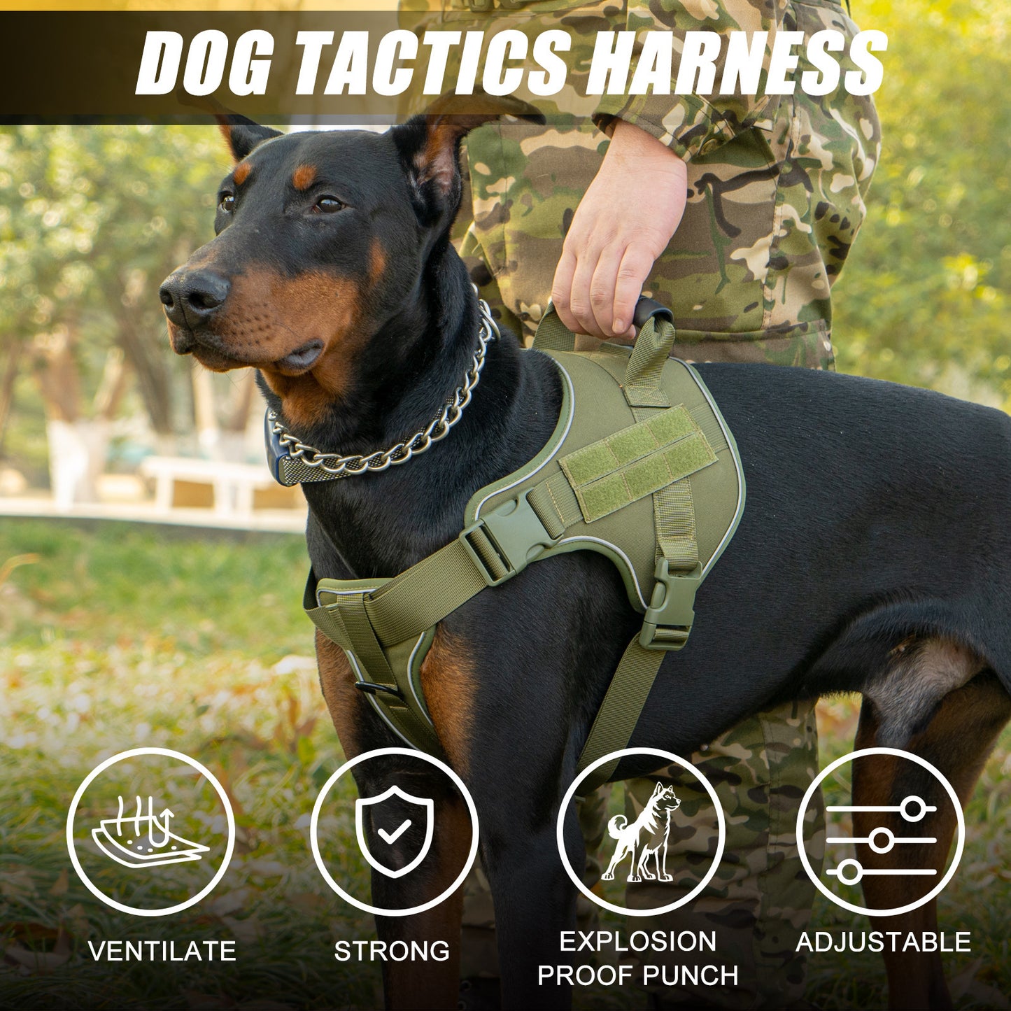 Tactical Dog Harness Quick Release No Pull Pet Vest for Medium Large Dogs German Shepherd Golden Retriever Training with Leash