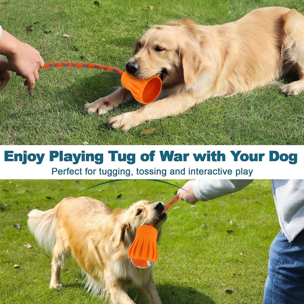 Pet Fetch Training Outdoor Ball Toy Tug for Dogs 6.5cm Tennis