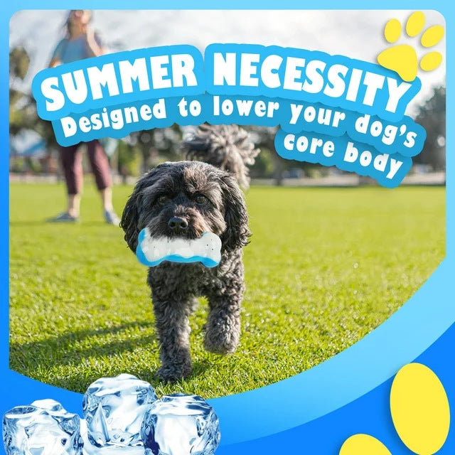 Dog Summer Refreshing Ice Ball Bone Soft Gel Chew Toy