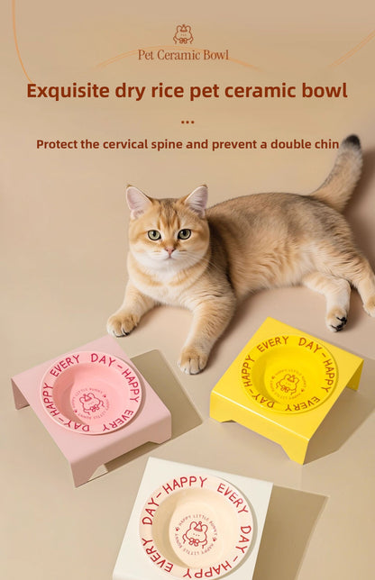 Ceramic Elevated Cat and Dog Food Bowl with Anti-Spill Design