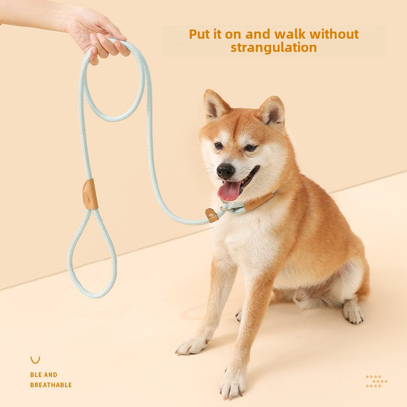 Pet Explosion-proof Dog Leash for Large Dogs