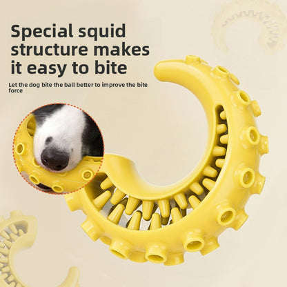 Rubber Spiked Bone Pet Toy New Design for Dog Teeth Grinding Chew Supplies