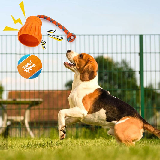 Pet Fetch Training Outdoor Ball Toy Tug for Dogs 6.5cm Tennis