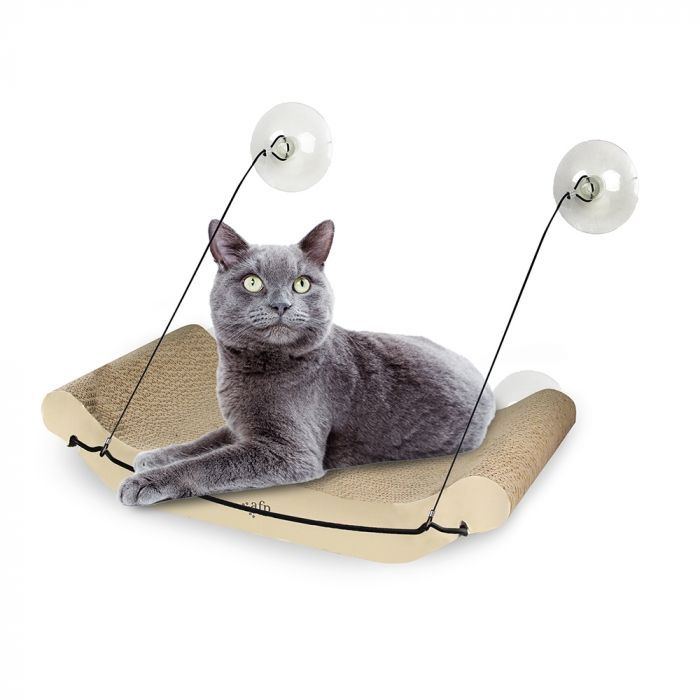 Durable Suction Cup Cat Scratching Board Hammock Universal Removable Washable Bed