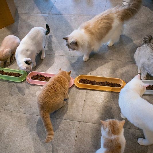 Multi Cat Feeder Long Strip Cat Bowl for Kittens Anti Ant Spill Proof Pet Food and Water Dish Slow Eating Solution