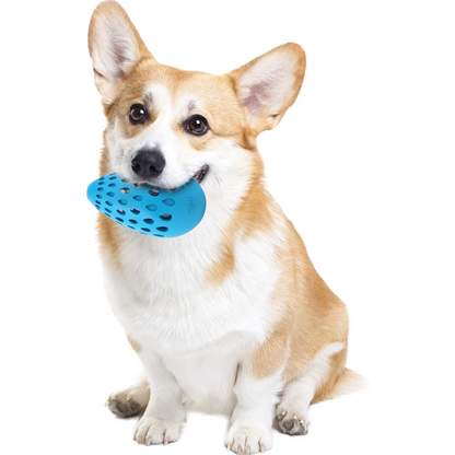 Hollow Multi-Hole Rubber Elastic Dog Bite Ball with Built-in Crinkle Paper